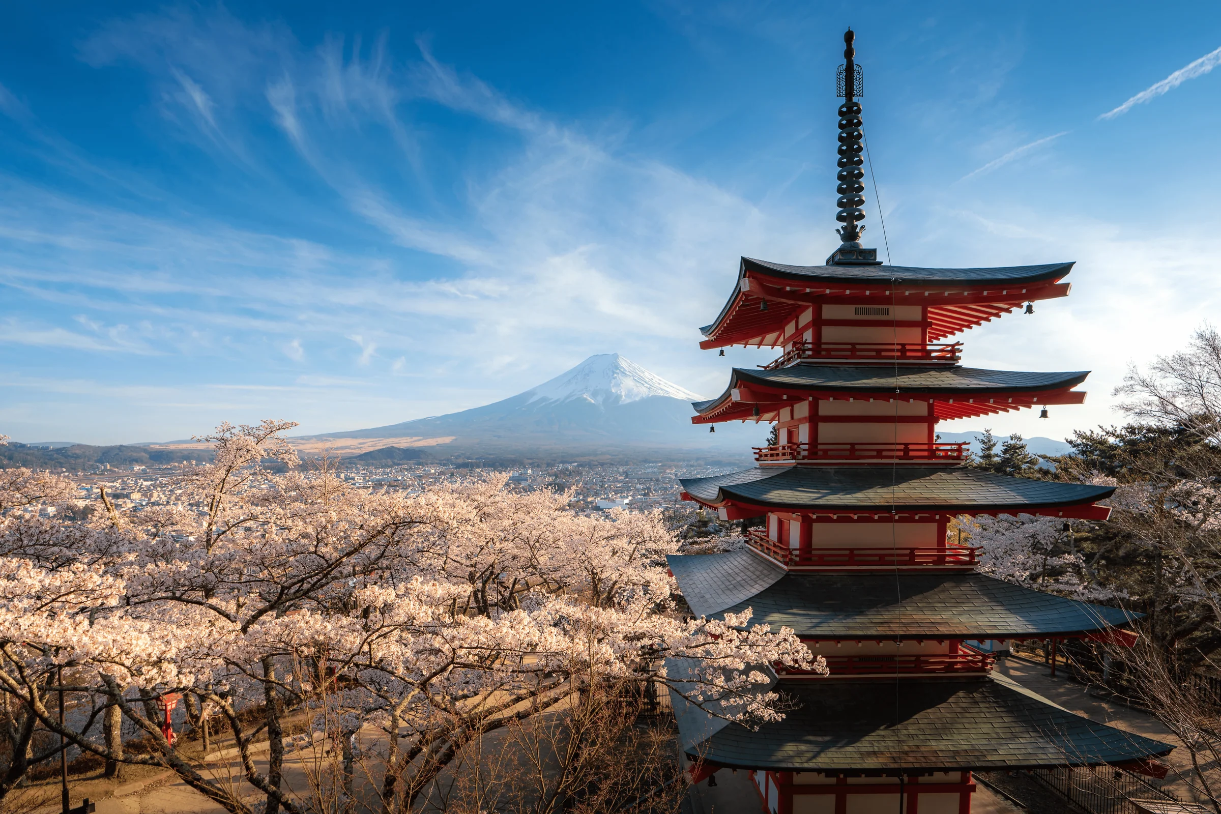 L'élégance japonaise à la française